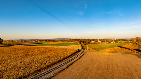 Vast fields stretch across the rural landscape, showcasing golden crops and a clear blue sky at dusk. Sparse houses dot the horizon, adding charm to the serene countryside.の写真素材