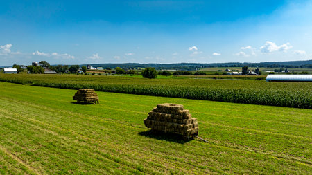 Two large bales of hay sit on a lush green field in a serene countryside. The clear blue sky is dotted with a few white clouds, showcasing a peaceful farming environment.の写真素材