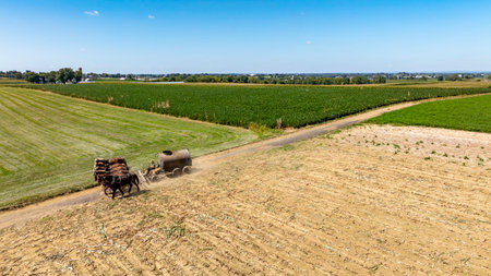 Wide View of Farmlands With Horses Pulling Manure Equipment Along a Dirt Road in Rural Setting, on a beautiful sunny day.の写真素材