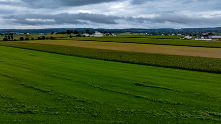 Expansive green fields cover the landscape, interspersed with patches of brown, while the sky looms with gray clouds in the afternoon. This tranquil rural scene captures the essence of autumn.の写真素材