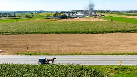 A horse-drawn carriage makes its way down a rural road surrounded by expansive fields and distant farm buildings under a clear blue sky. The tranquility of the countryside is evident.の写真素材