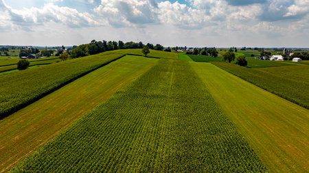 Lush green fields of crops extend across gently rolling hills. Trees and farmhouses dot the landscape under a bright sky filled with fluffy clouds, showcasing rural tranquility.の写真素材