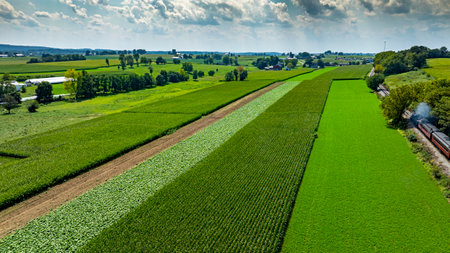 Expansive fields stretch across the landscape, showcasing various shades of green crops under a bright blue sky. The scene captures the beauty of rural farming practices during the summer season.の写真素材