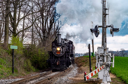 A historic steam train puffs white smoke as it travels along a scenic railway, surrounded by trees and grass, under a cloudy sky, evoking a sense of nostalgia.の写真素材