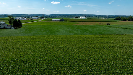 Lush green fields stretch across the countryside, dotted with farms and under a clear blue sky. The serene landscape showcases the beauty of rural life in summer, emphasizing open space.の写真素材