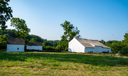A cluster of white farm structures stands amid lush greenery under a clear blue sky. Sunlight illuminates the rustic charm of this serene countryside setting.の写真素材