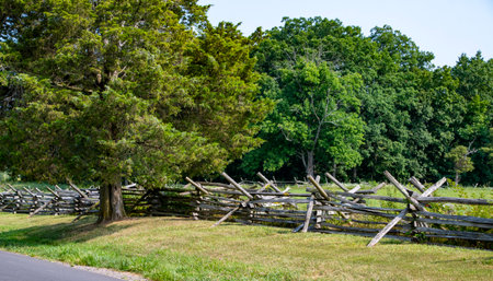 A rustic wooden fence stretches along a lush green pasture, complementing the tall trees in the background under a bright blue sky, creating a serene countryside atmosphere.の写真素材
