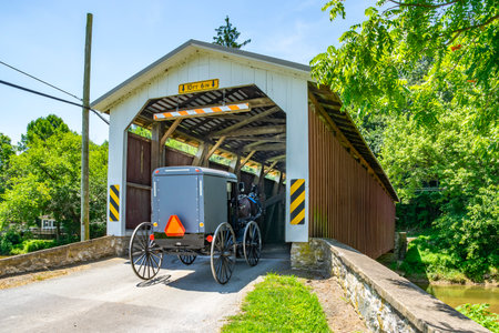A horse-drawn carriage enters a charming covered bridge surrounded by lush greenery. The bright sunlight illuminates the scene, making it a serene rural moment.の写真素材