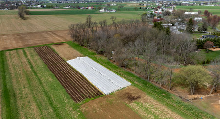 Lush fields stretch across the rural landscape, featuring organized crop rows alongside a large greenhouse. Nearby, trees provide a natural border to the farmland.の写真素材