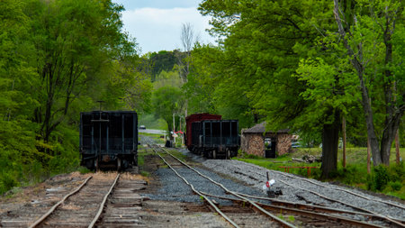 Two old train cars sit on overgrown railway tracks, bordered by vibrant green trees. The tranquil setting conveys a sense of history, evoking feelings of nostalgia and the passage of time.の写真素材