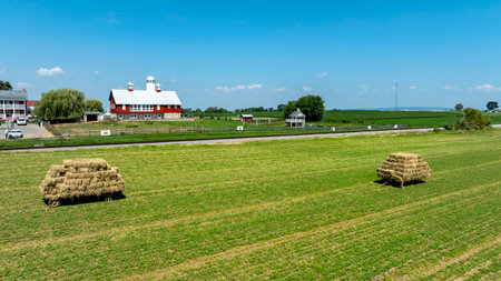 Bright sunlight illuminates a rural landscape featuring neatly arranged hay bales and a traditional red barn.の写真素材