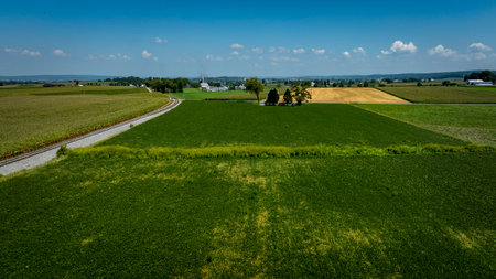 A vast agricultural landscape features lush green fields alongside railway tracks. The scene shows a serene rural setting with distant hills and bright blue skies, indicating a sunny day.の写真素材