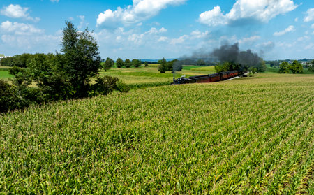 A vintage train billows smoke while navigating through vast green fields. Corn crops stretch across the landscape, framed by trees and a clear blue sky. It is a picturesque summer day.の写真素材