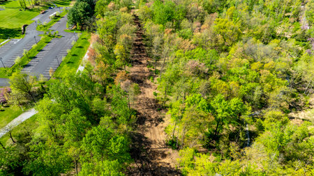 A serene forest trail lined with vibrant green trees extends through the landscape. Nearby, an almost empty parking lot indicates the tranquility of the area.の写真素材
