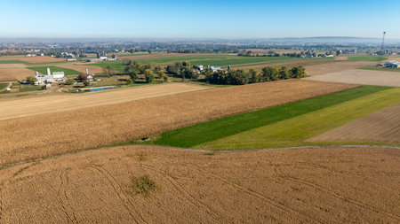 A vast expanse of farmland features patches of golden corn and vibrant green fields under a clear blue sky. Nearby, small buildings and farm structures create a peaceful rural atmosphere.の写真素材