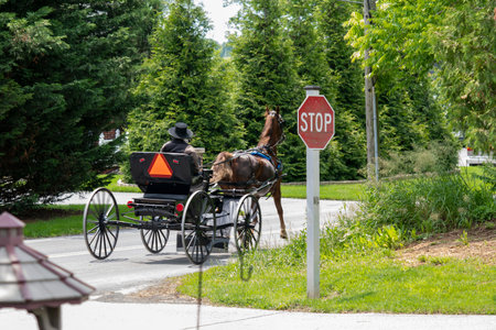 A horse-drawn carriage navigates a rural road, passing a stop sign. The scene is set amidst lush greenery on a clear sunny day. An individual drives the horse with care.の写真素材
