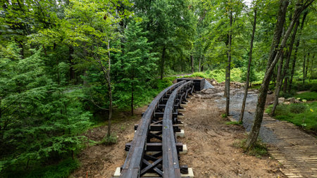 A curved wooden bridge path is built in a forest. The setting includes trees and a stream nearby....
