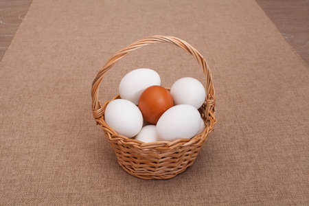 white eggs and one brown in a basket for Easter