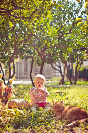 little girl sings sitting in a garden surrounded by a red cat, pumpkins and applesの写真素材