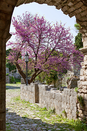 Ruins of ancient town of Bar in Montenegro.の写真素材