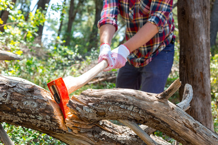 Portrait of an attractive young lumberjack who chopping wood with an ax