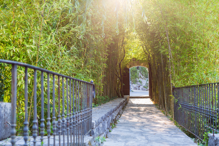 Bamboo walkway entrance to the park, Montenegroの写真素材
