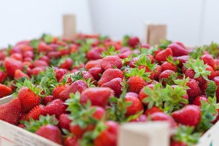 background of fresh strawberries in cratesの写真素材
