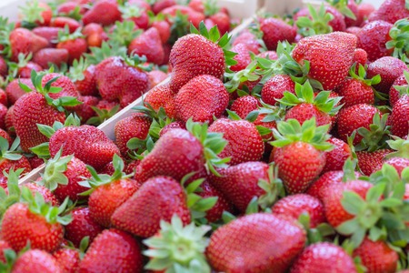 background of fresh strawberries in cratesの写真素材
