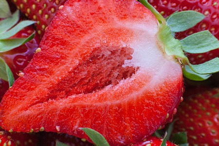slice of fresh strawberry macroの写真素材