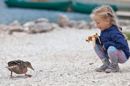 little girl feeding ducks at Black Lake in Durmitor National Park, Montenegroの写真素材