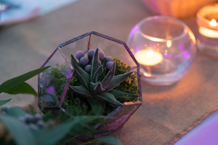 wedding table served in a rustic style at dusk