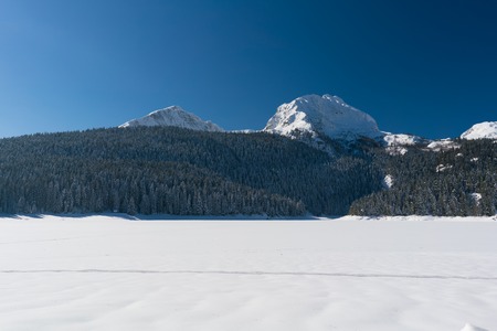 Snow-covered fir trees on a mountainside near Black Lake in Durmitor National Park