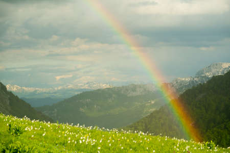 green meadow in Lukavica Plateau in the spring, Montenegroの写真素材
