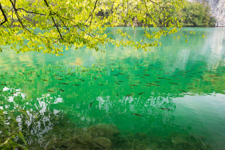 Plitvice lakes of Croatia national park, autumnの写真素材