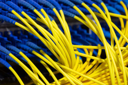 Interface of card Equipment optical telecommunication Abstract blurred image for use as a background Close-upの写真素材