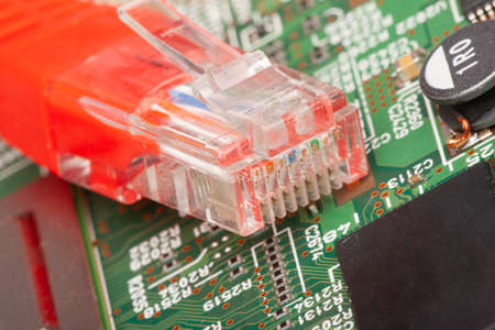 Information Technology Computer Network, Telecommunication Ethernet Cables Close-up