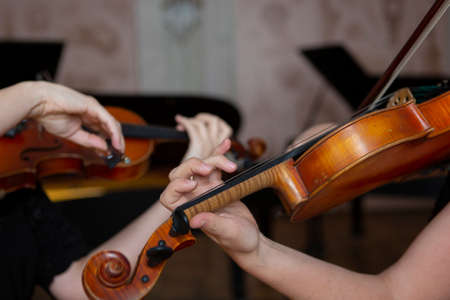 Girl playing the violin. Hand of a girl and a fiddle. Close-up portrait