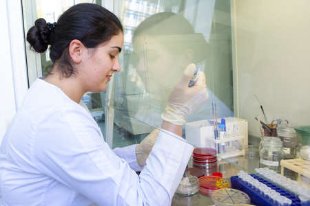 Young scientist works in modern biological lab Young female research scientist preparing and...
