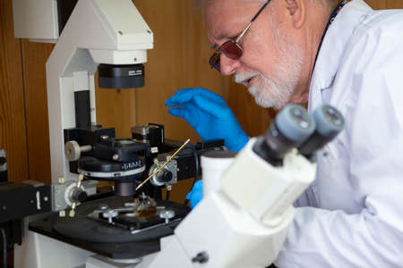 Senior male researcher carrying out scientific research in a lab Portraitの写真素材