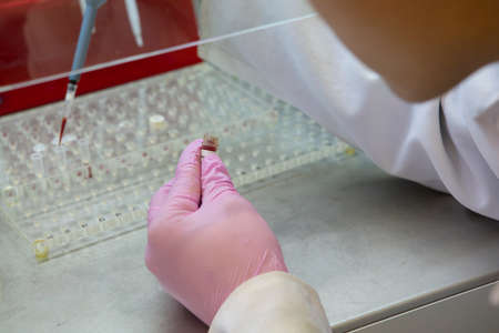 scientist working at the laboratory Close-up Limited depth of field