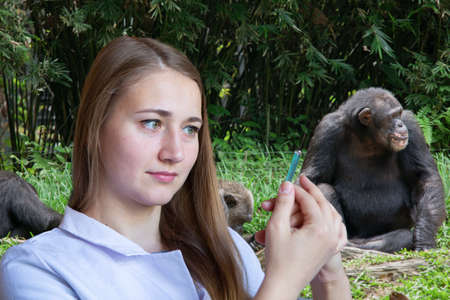 Young woman veterinarian in the background of the chimpanzee family Portrait