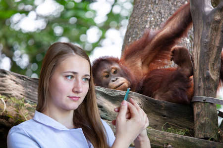 Young woman veterinarian preparing for examination of an orangutan cub Portrait