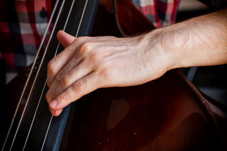 Hand of a musician playing on a contrabass closeup Limited depth of fieldの写真素材