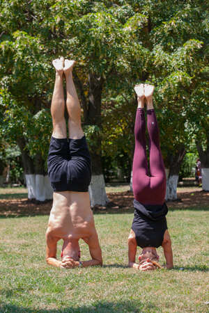 Young man and woman doing yoga in the sunny summer park. Portraitの写真素材
