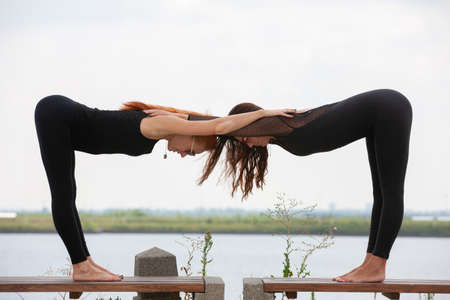 Two young women doing yoga at nature. Fitness, sport, yoga and healthy lifestyle concept - group of...