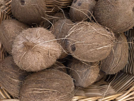 Pile of coconuts in the food market. Close-upの写真素材