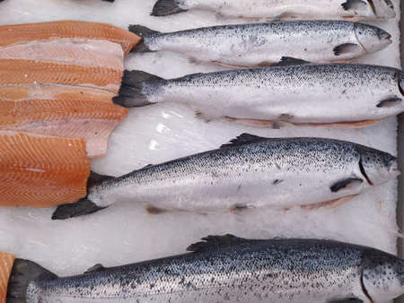 Fresh wild caught King Salmon on ice in a local sea food market. Close-upの写真素材