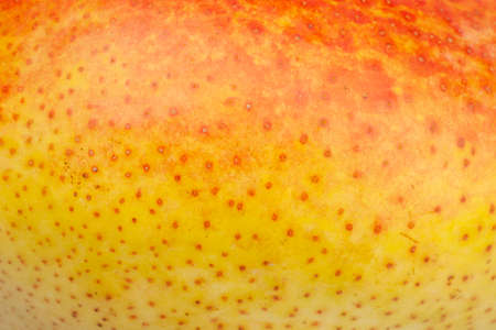 Pear skin surface texture pattern close up detail macro. Abstract background. Close-up.の写真素材