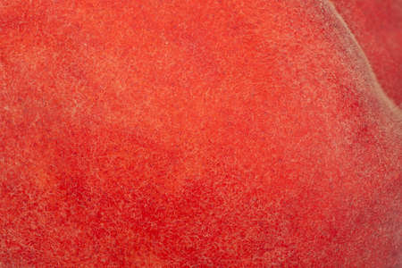 the skin of the peach as a background. close-upの写真素材