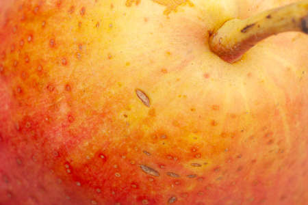 Pear skin surface texture pattern close up detail macro. Abstract background. Close-up.